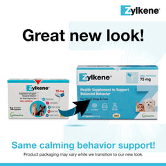 Vetoquinol Zylkene capsule close-up highlighting gentle, lactose-free ingredients.