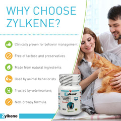 Vetoquinol Zylkene dog relaxed on a mat demonstrates potential daily calming support.