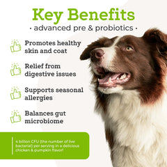 VetPro Complete dog probiotics scoop for easy administration.