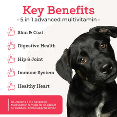 VetPro Complete joint mobility chew with glucosamine close-up for active dogs.