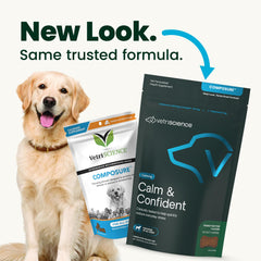 VetriScience Calm & Confident chews support calm during storms and fireworks
