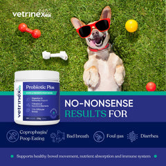 Vetrinex Labs seven-strain probiotic for pet gut health.