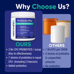 Vetrinex Labs prebiotics and postbiotics sustain beneficial gut bacteria.
