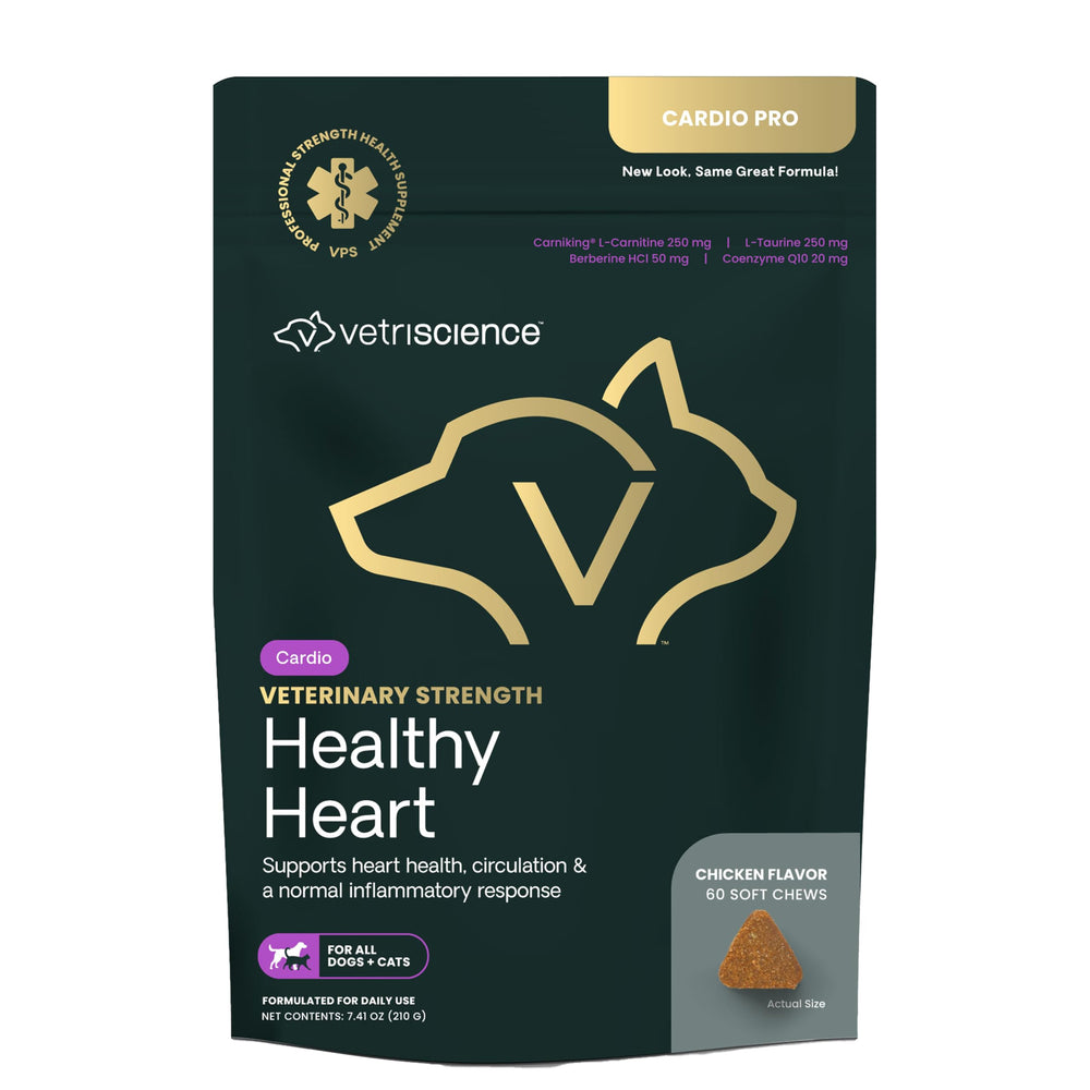 VetriScience Healthy Heart Chews bottle on counter suggests convenient pet heart support.