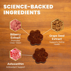 VetriScience astaxanthin-bilberry blend for eye support and antioxidant protection.