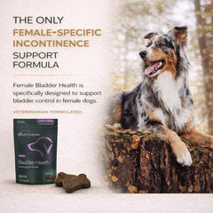 Dog taking VetriScience Chew, tasty bladder health treat for urinary balance.