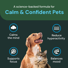 VetriScience Calm & Confident chews bottle label close-up for easy dosing.
