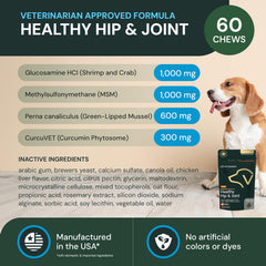 Dog enjoying a chew demonstrating improved comfort during daily activities