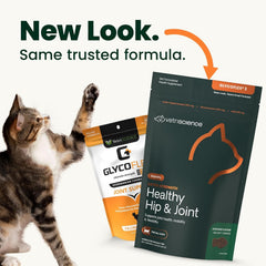Extra Strength Healthy Hip & Joint chews as a cat treat supports flexibility.