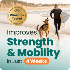 VetriScience Hip & Joint label highlighting glucosamine, MSM, and green-lipped mussel.