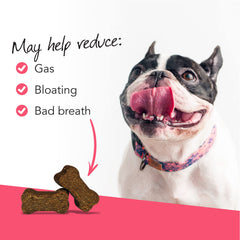 VetriScience Gut Health Chews illustration highlighting probiotic and prebiotic blend