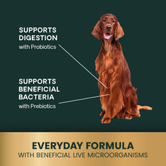 Serving dish with VetriScience Gut Health Chews ready to supplement meals.