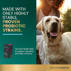 Close-up of VetriScience Gut Health Chews texture with duck flavor for dogs.