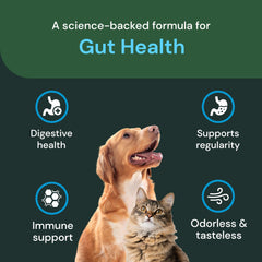 VetriScience Gut Health Powder cat serving illustrates simple addition to daily feeding.