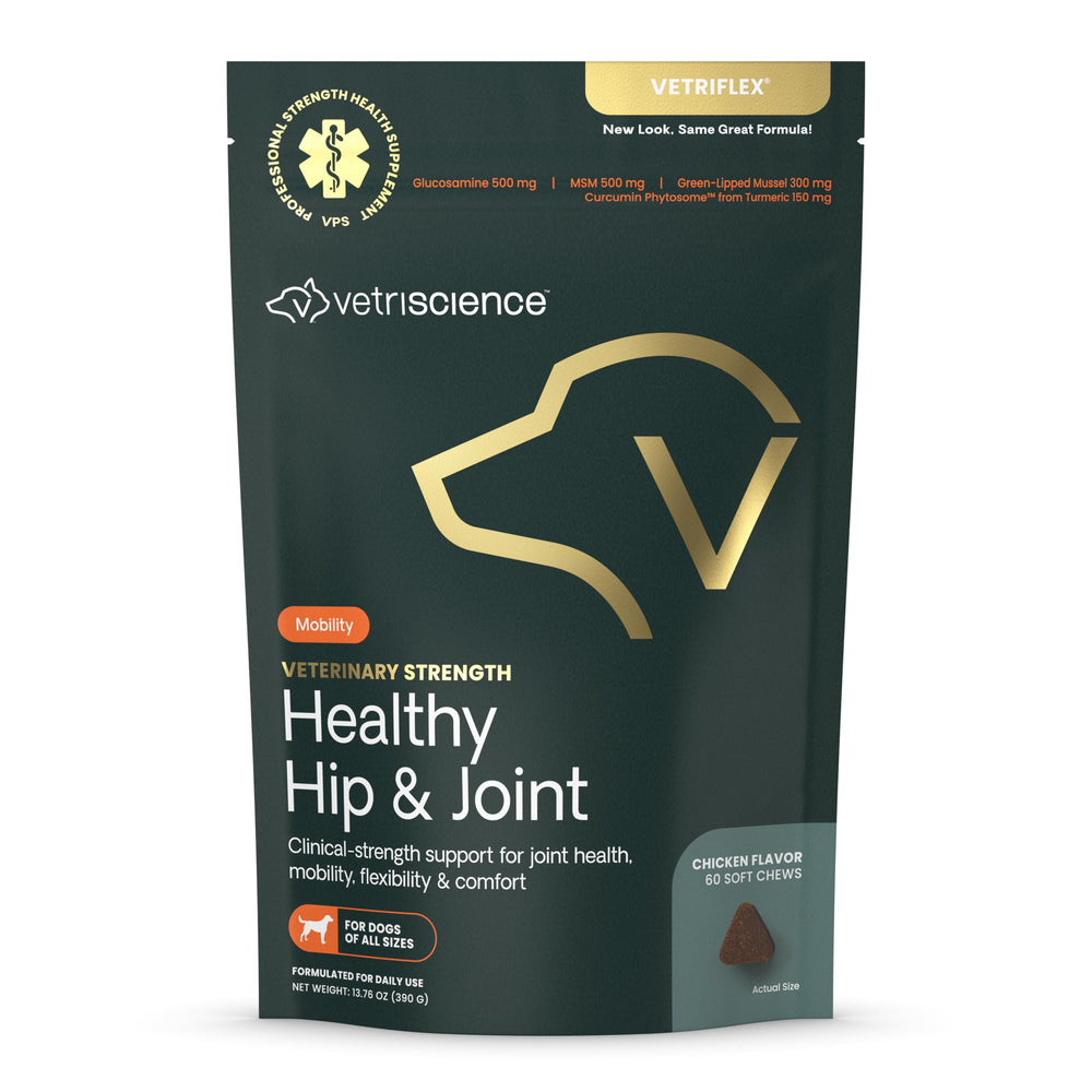 VetriScience Healthy Hip & Joint chews bottle supports flexible movement for dogs.