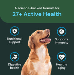 VetriScience ingredients-probiotics chart closeup showcases digestive-support components