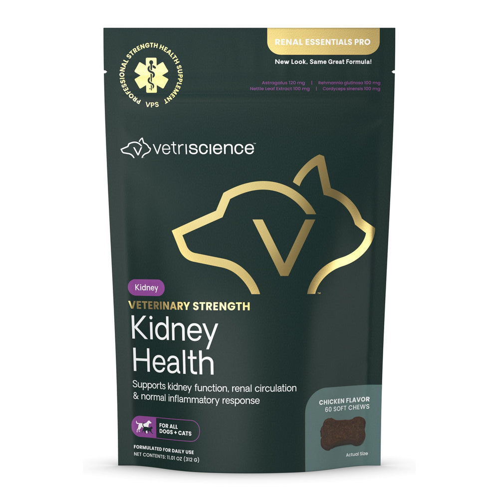 VetriScience Kidney Health Chews bottle for pet kidney support