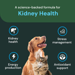 Hand holding VetriScience chews for easy dosing