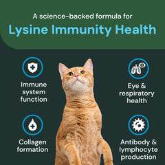 VetriScience Lysine Immunity Chews texture close-up shows palatable chew.