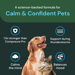 VetriScience Calm & Confident chews dog and cat use during daily routines