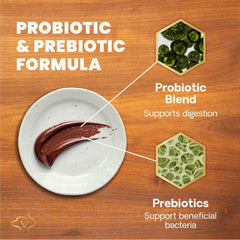 VetriScience Quick Action paste with dog and cat suggests versatile use with meals.