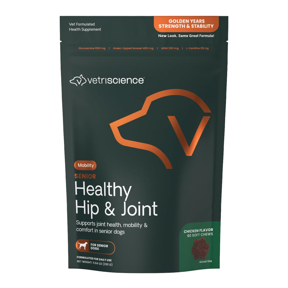 VetriScience Senior Healthy Hip & Joint soft chews in bottle promote senior dog joint support and mobility