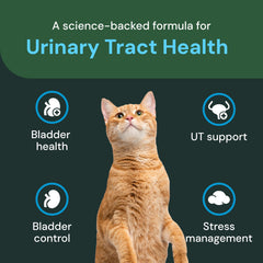 VETRISCIENCE UT Health chews calming blend close-up suggesting soothing use for cats