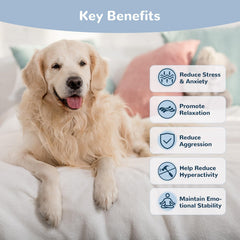 Vetriuntrix Calming Chews natural plant extracts for gentle mood support