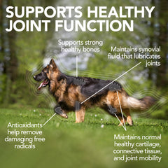 Vet's Best Advanced Hip & Joint tablets closeup showing chewable formula