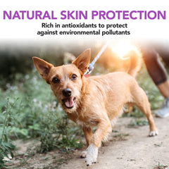 Vets Best Brewers Yeast Garlic Chews ingredients label highlighting natural components