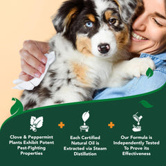 Vet's Best flea wipes applied to a dog's ear area.