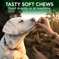 Vet’s Best ingredients nettle leaf image, supporting immune response and skin health.
