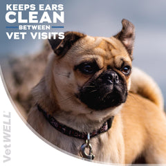 VetWELL Aloe and Eucalyptus soothing ingredients in EarWELL.