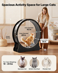 VEVOR cat exercise wheel shows spacious track for medium to large cats.