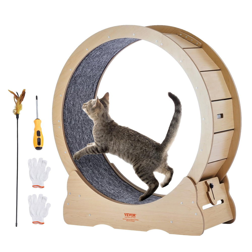 VEVOR cat exercise wheel full setup for indoor play and daily exercise.