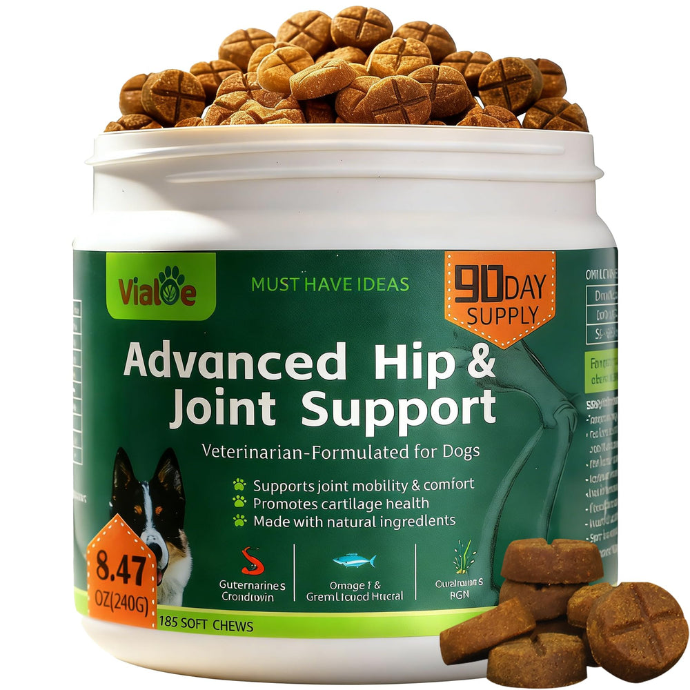 Vialoe advanced hip and joint chews jar for daily mobility support.