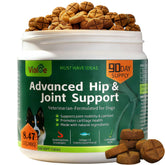 Vialoe advanced hip and joint chews jar for daily mobility support.