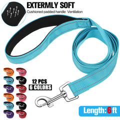 Vicenpal reflective dog leash blue with double sided visibility for night walks