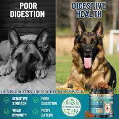 Dog enjoys VICSOM probiotic chew as daily treat.