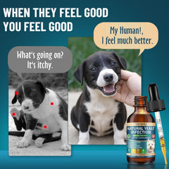 VICSOM paw care focus drops support reduced paw licking and discomfort.