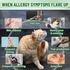 VICSOM drops with Echinacea and Elderberry against seasonal allergy flare-ups in cats.