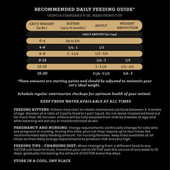 VICTOR cat mealtime kibble bowl suggests energy for daily activity.