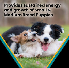 VICTOR Classic Hi-Pro Puppy minerals support strong bones and teeth.