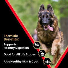 VICTOR High Energy kibble pour shows protein-rich, gluten-free formula for sustaining endurance.