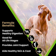 VICTOR Elite Canine bag back label highlighting gluten-free grains and vitamins