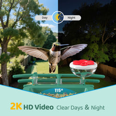 VIMKIM Bird Feeder with Camera bowls showing food and water options for the birds