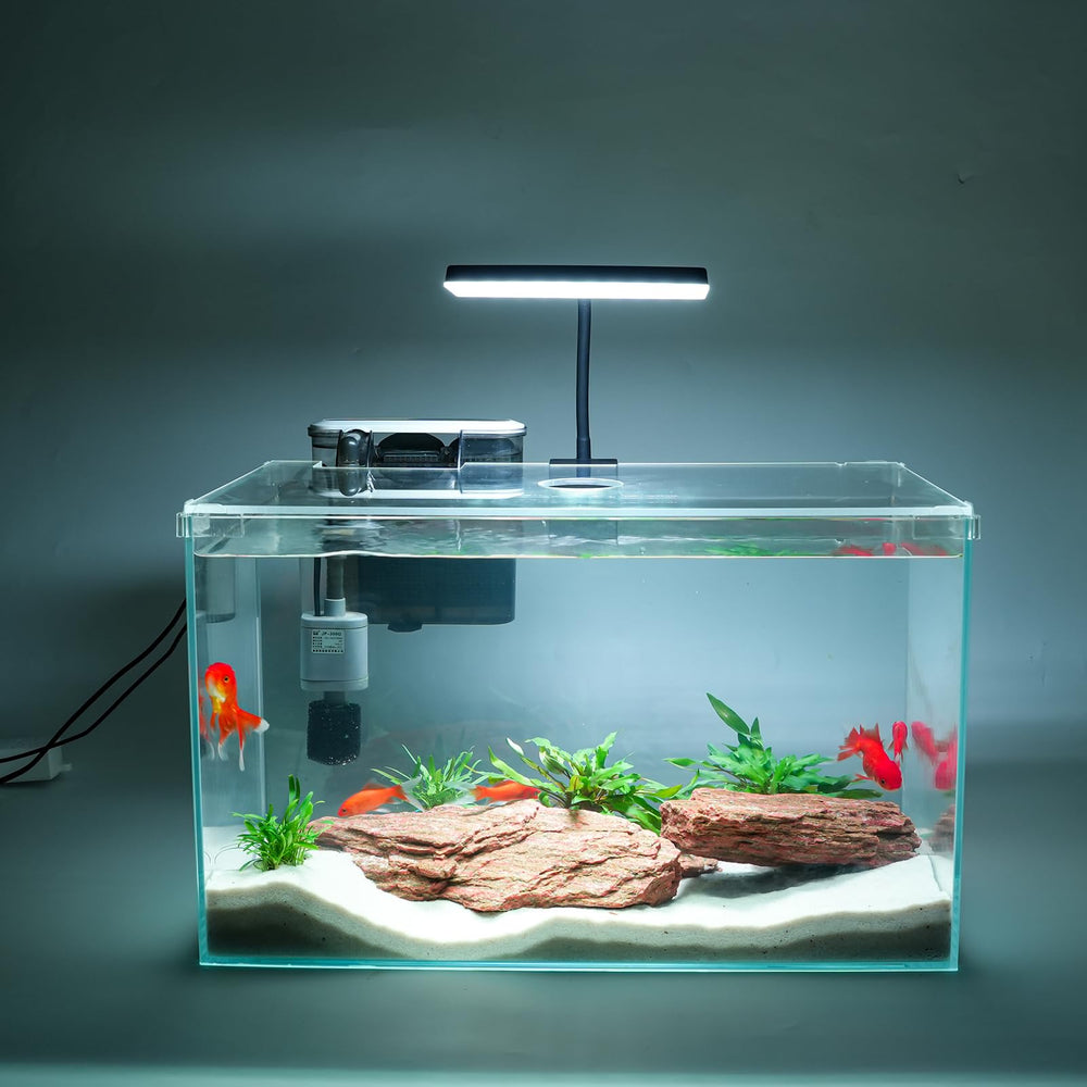 Vimvins 10-gallon glass tank front view for clear beginner aquariums.