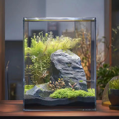 Vimvins 2-gallon glass fish tank side view highlights slim desk-friendly footprint