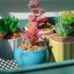 VINICS succulent planter gravel white complements modern decor and drainage.