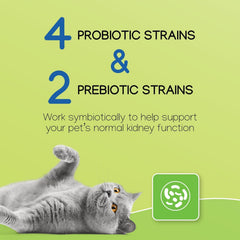 Cat and dog use scene showing NEPHRODYL capsules for daily kidney care.